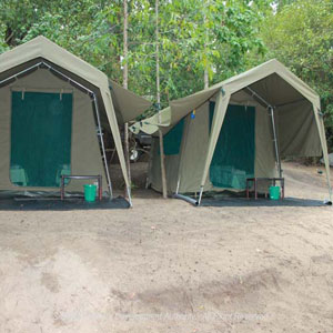 Camping in Kumana National Wildlife Sanctuary