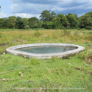 Hot Water Springs in Wahawa