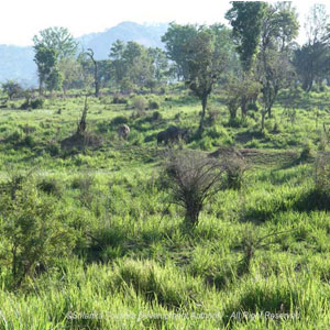 Maduru Oya National Wildlife Park