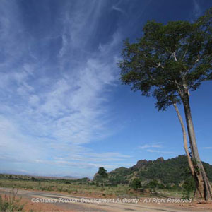 Maduru Oya Reservoir