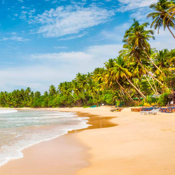Travel Sri Lanka